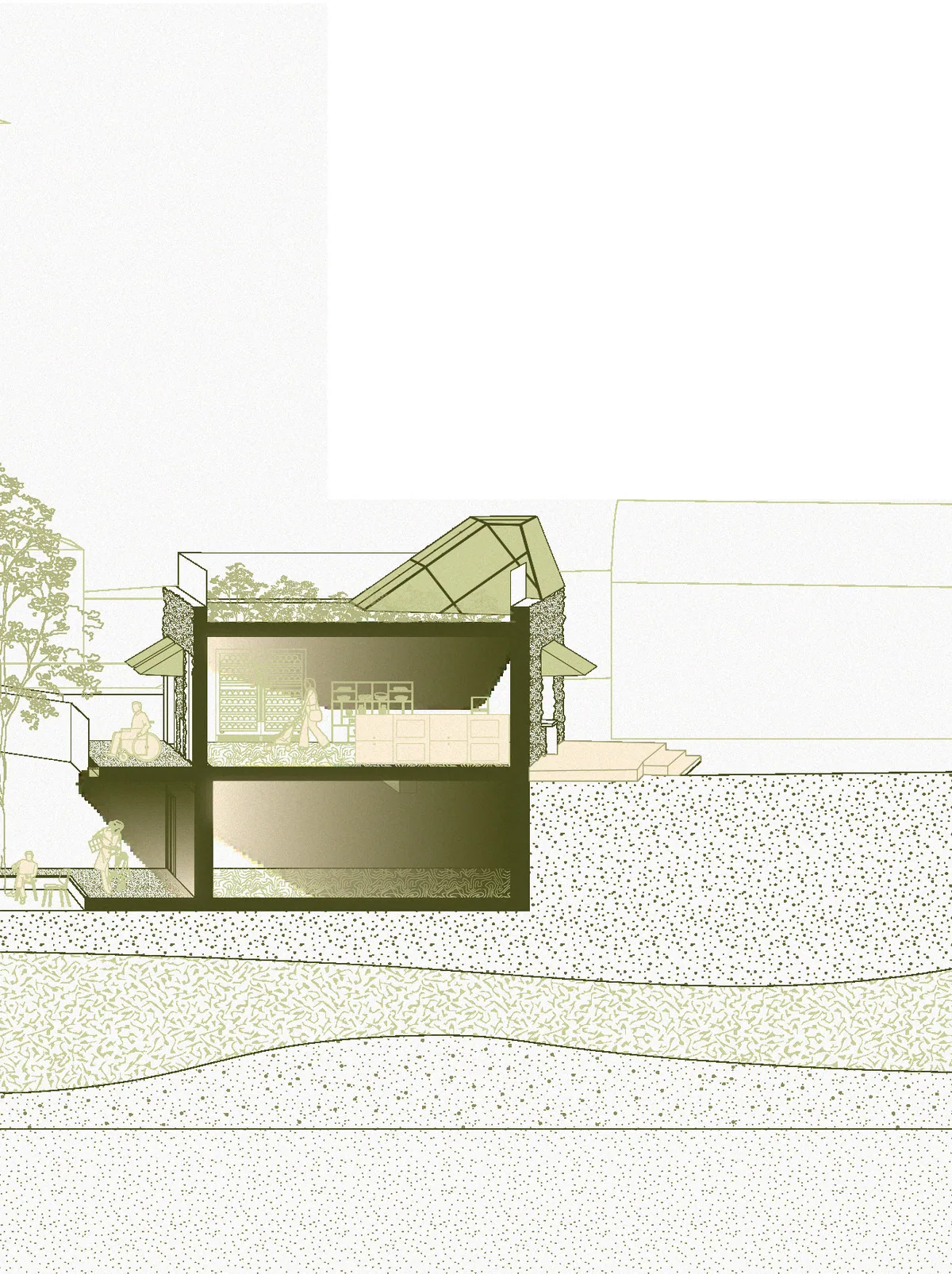 Longitudinal section of the smaller northern volume with a planted roof terrace
